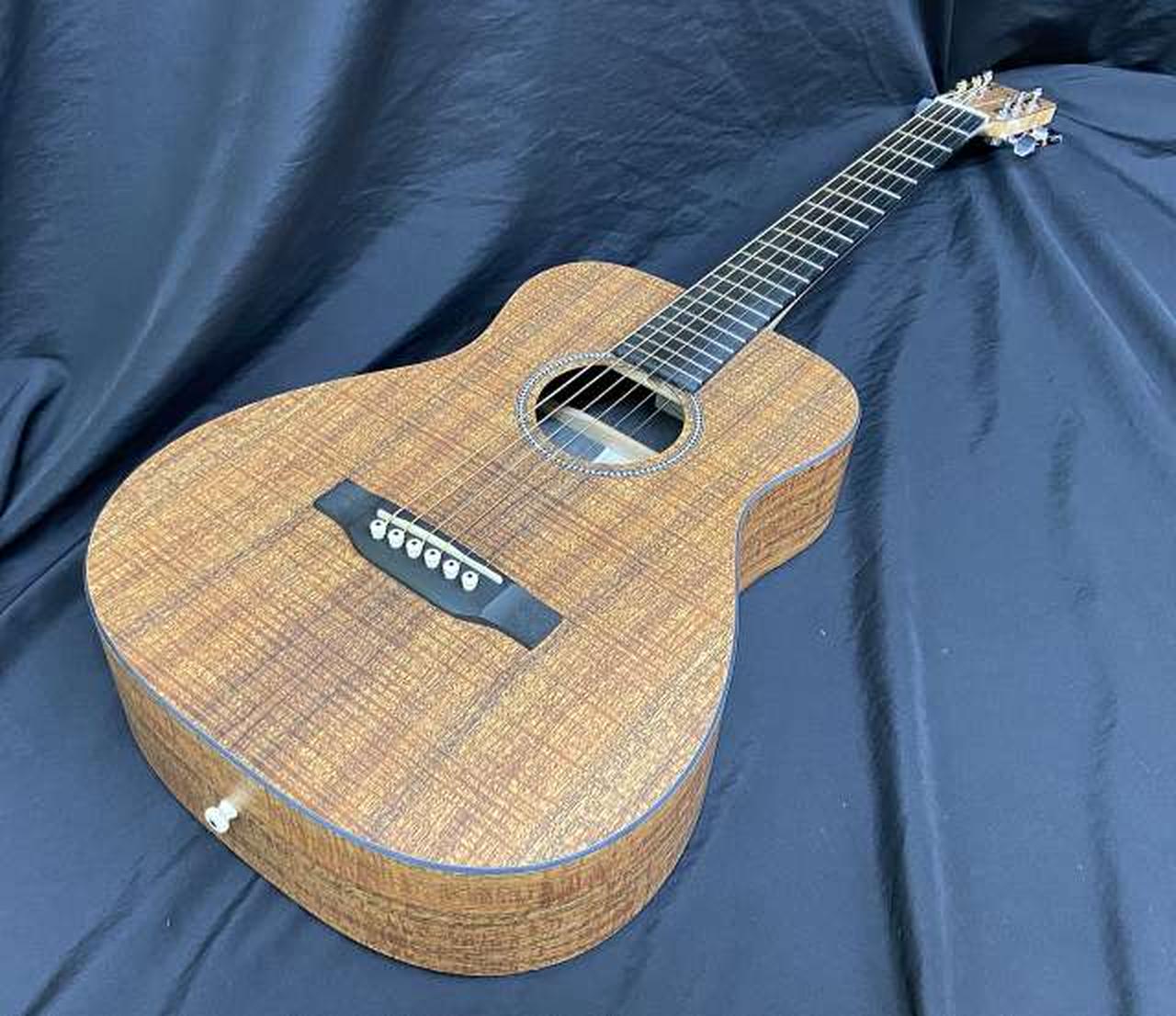 【送料込み】マーチン　ProMortin W-120 アコースティックギター アコースティックギター 生産終了品 マーチン DST 販売してい