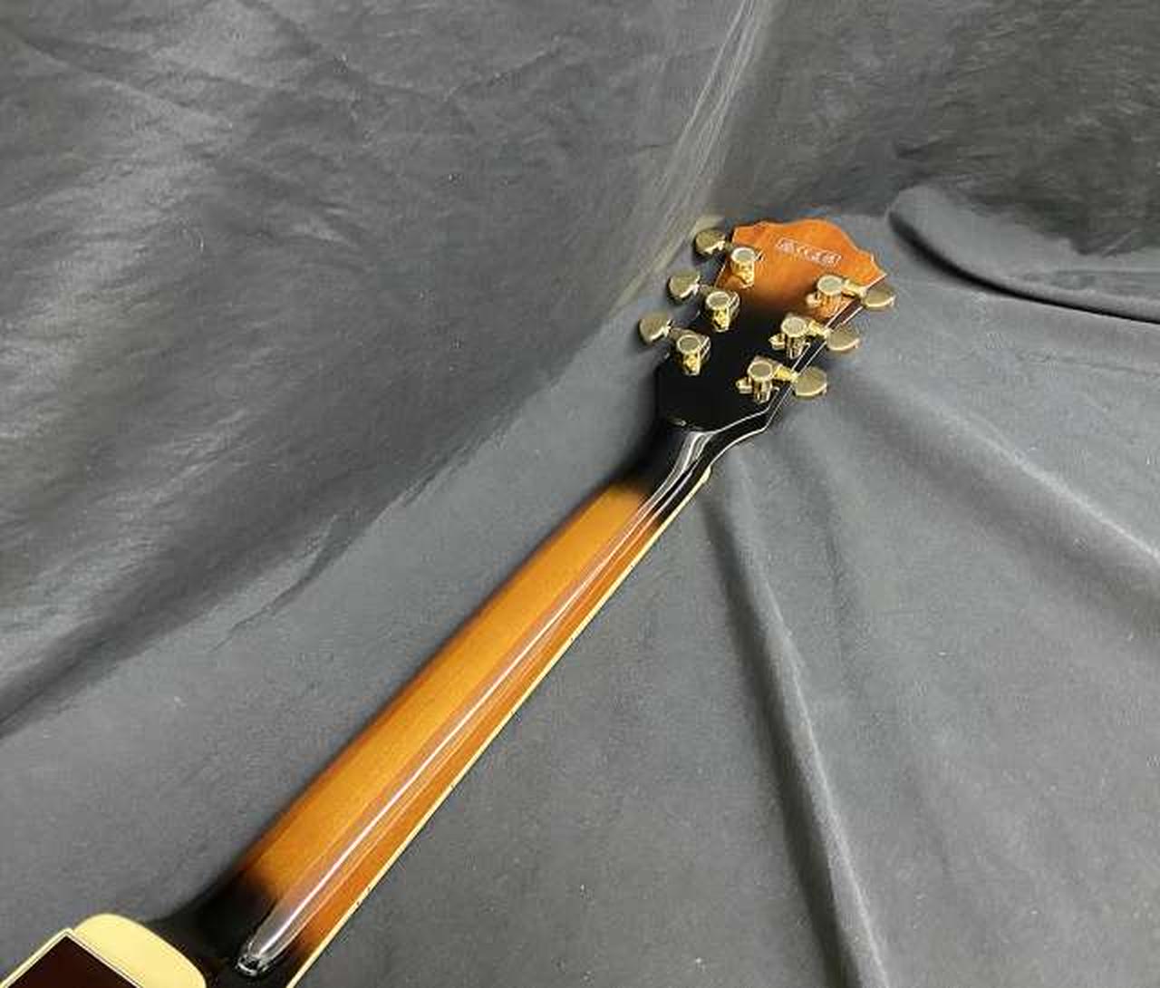 アイバニーズ(IBANEZ)|【新品未使用】セミアコ|【ハードオフ公式通販