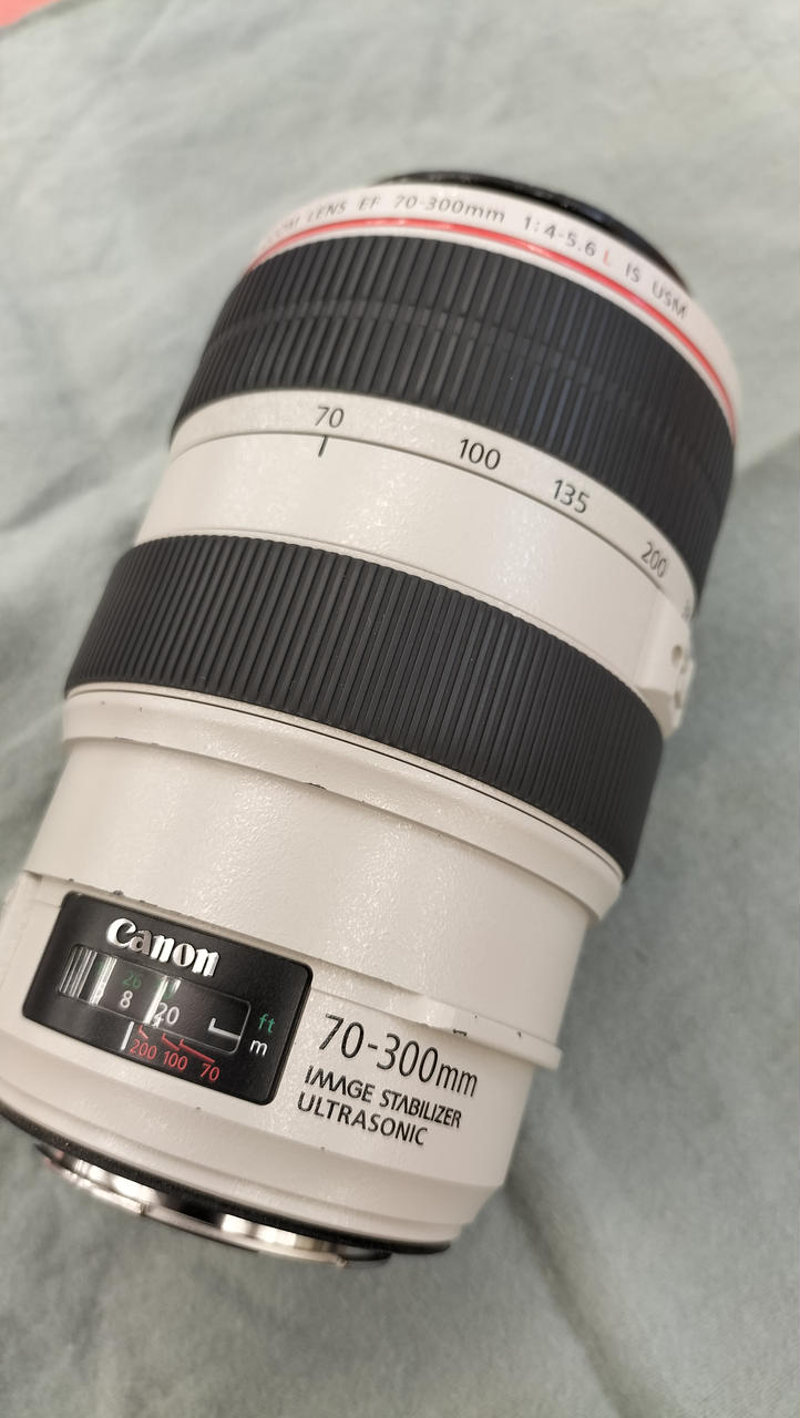 キヤノン(CANON)|望遠ズームレンズ|HARDOFFオフモール（オフモ