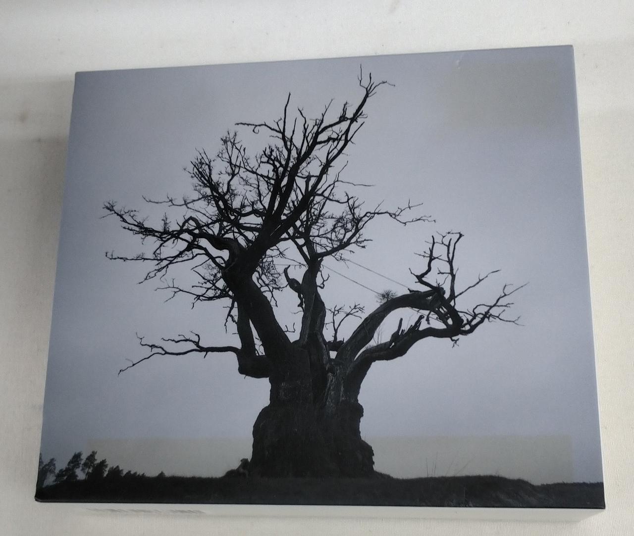 箱に日焼け跡があります