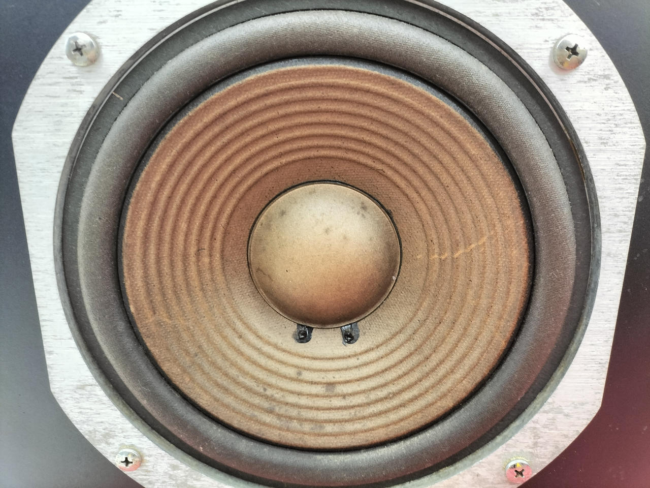 コーン紙シミあり