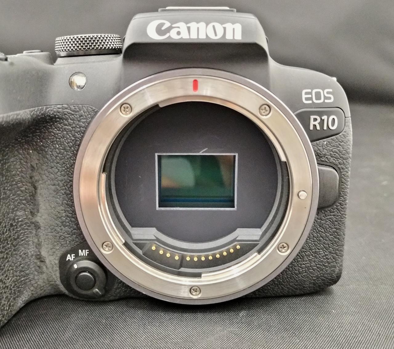 CANON|【訳あり】デジタルミラーレス一眼ボディ、シリアル番号無し