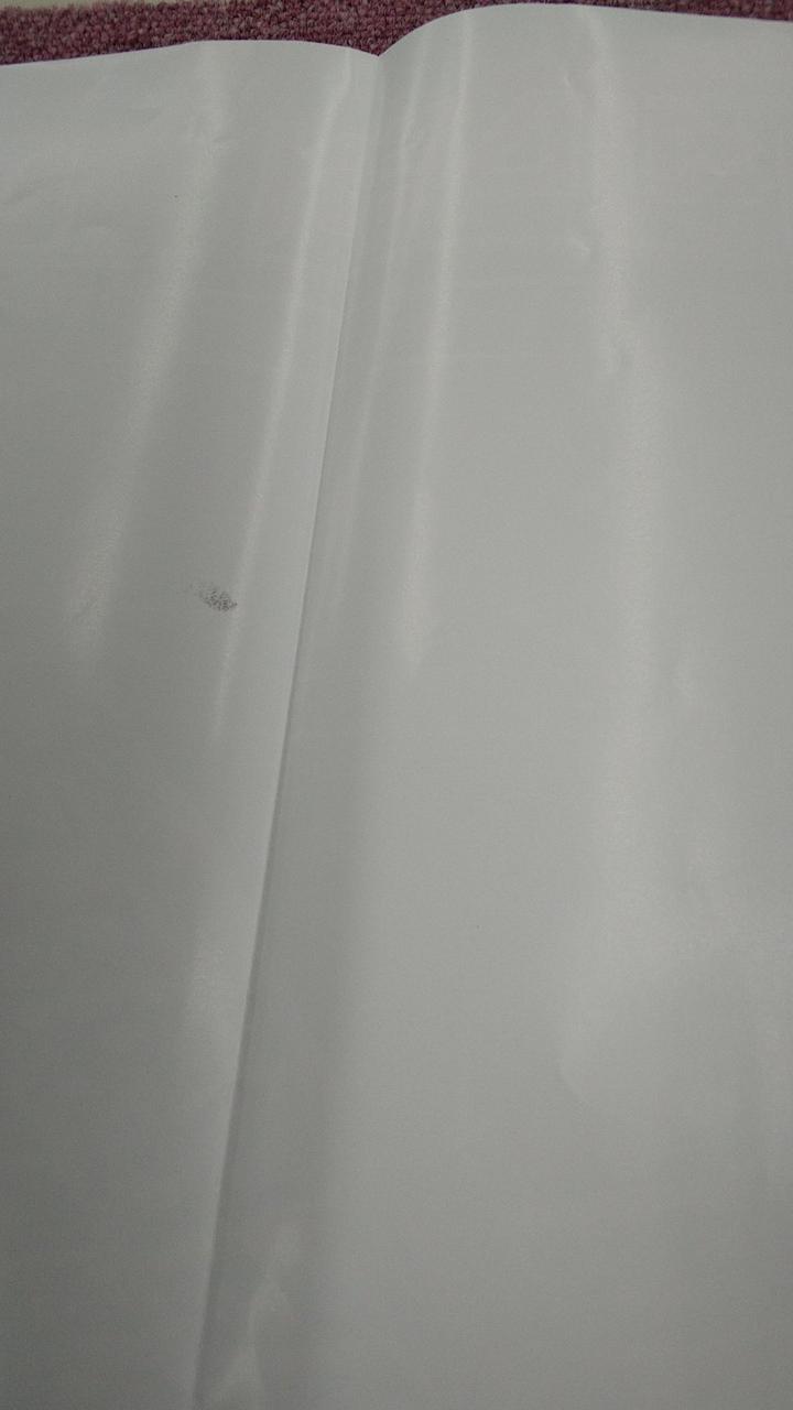 ポスター裏側に1箇所目立つ汚れあります。