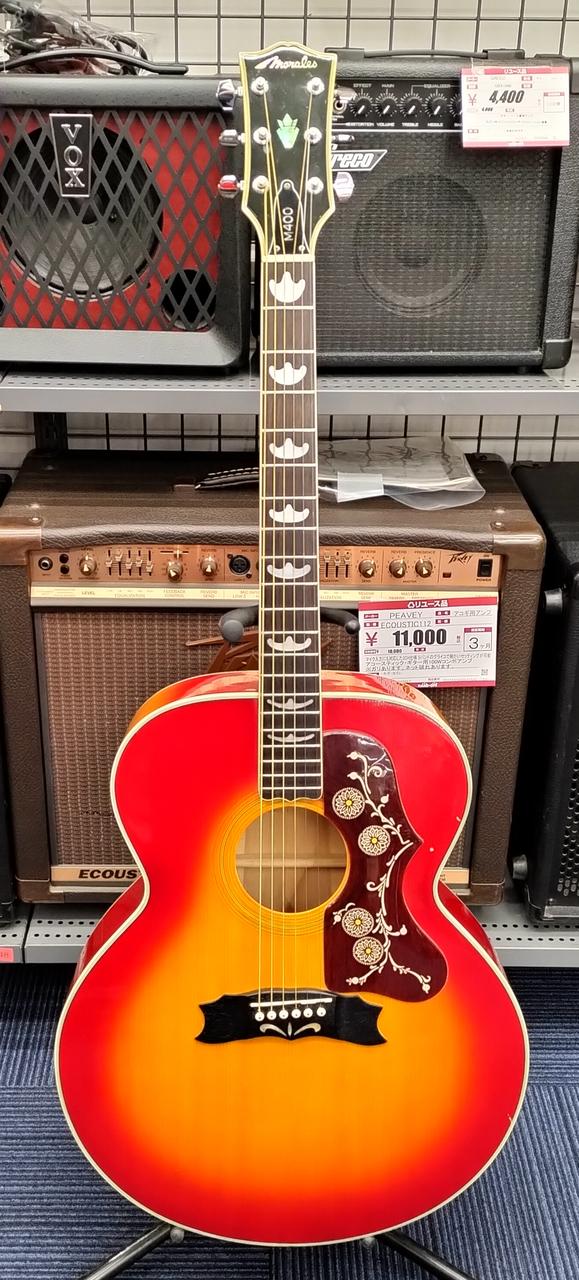 アコースティックギター　morales Morales M-18 Lyre Bird Acoustic Guitar アコースティック