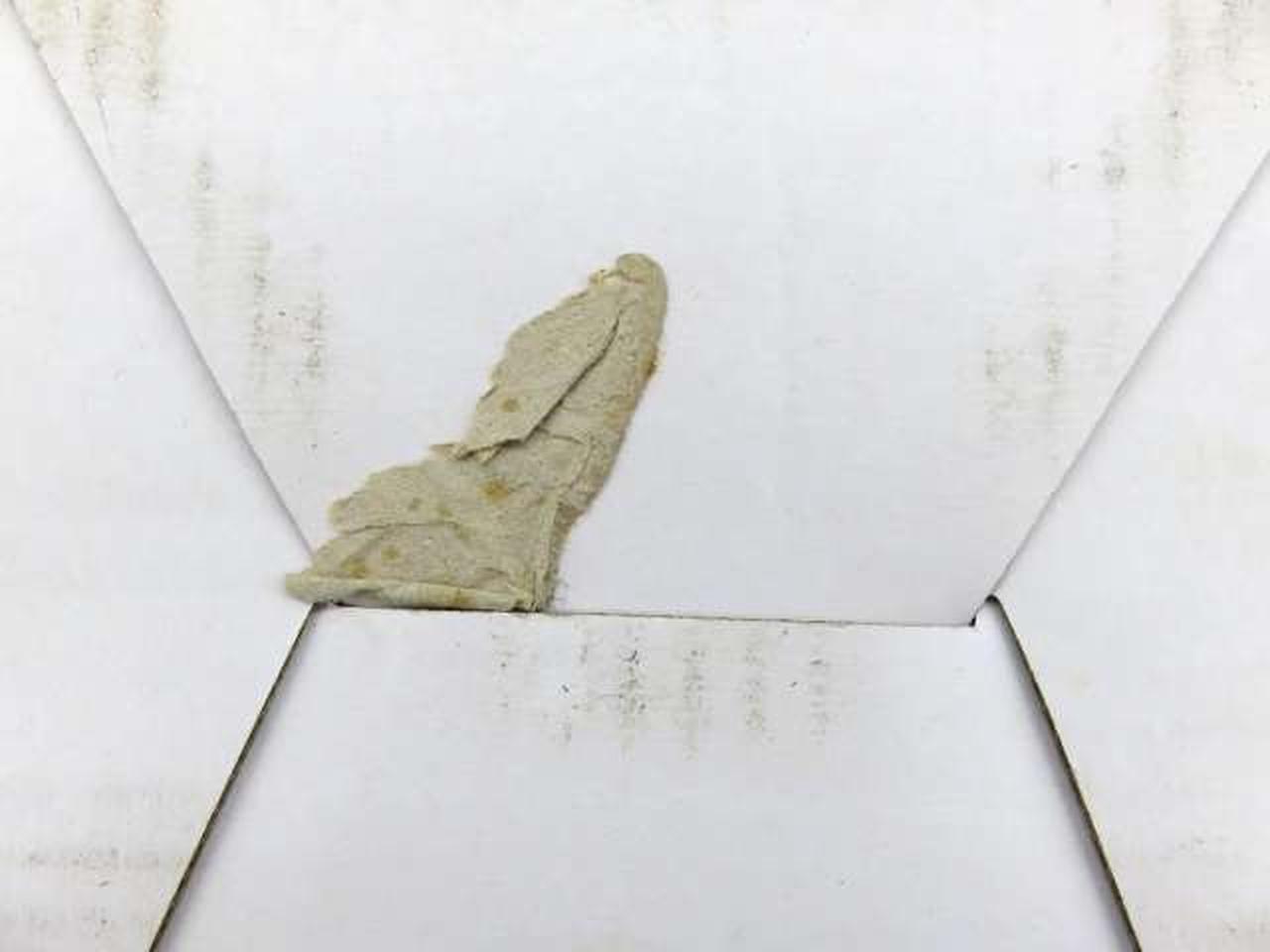 ガムテープ残りあり