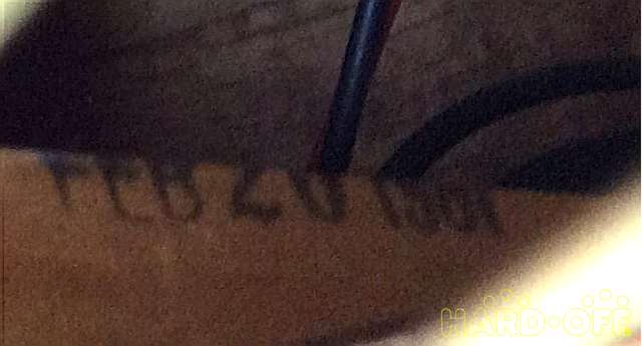 FEB 20 1981 と印字されています。