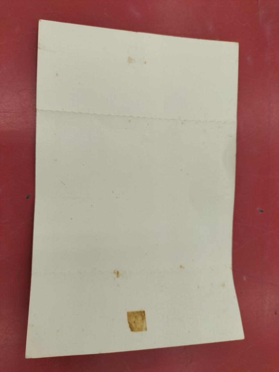 帯、裏面。テープのはがし跡あり。