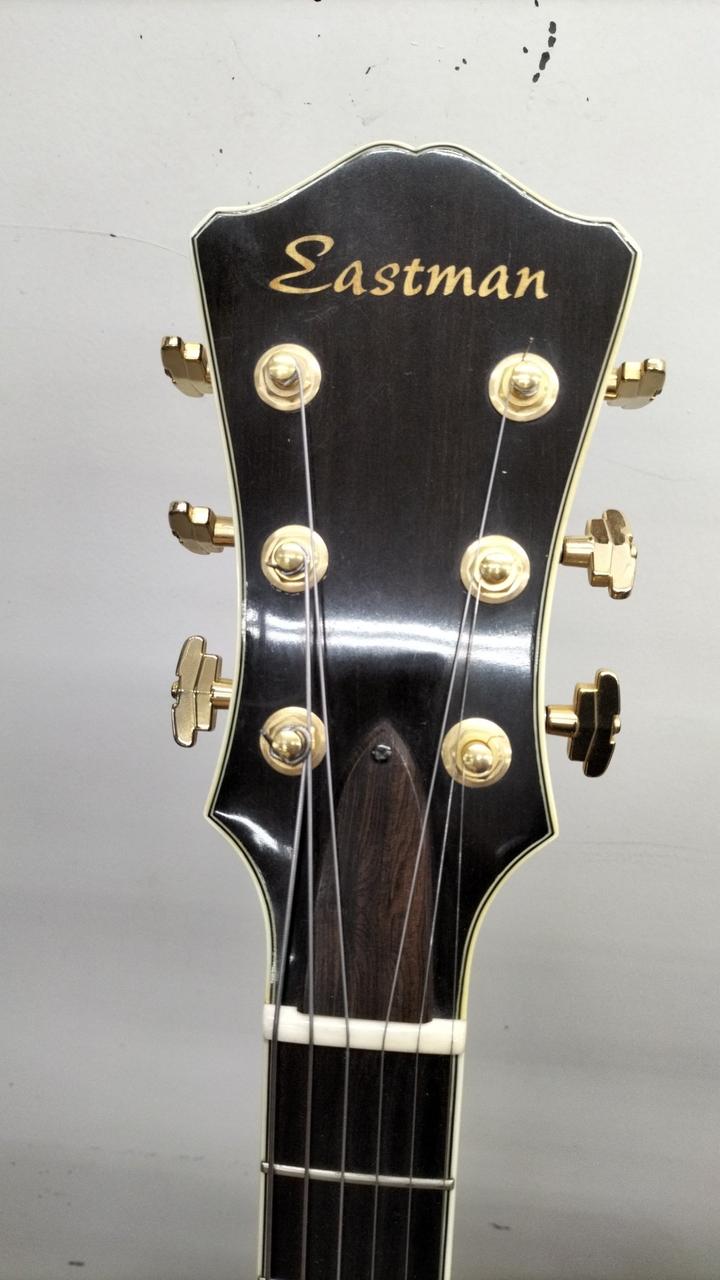 【ジャンク】Andreas Eastman ギター ジャンク】Andreas Eastman ギター