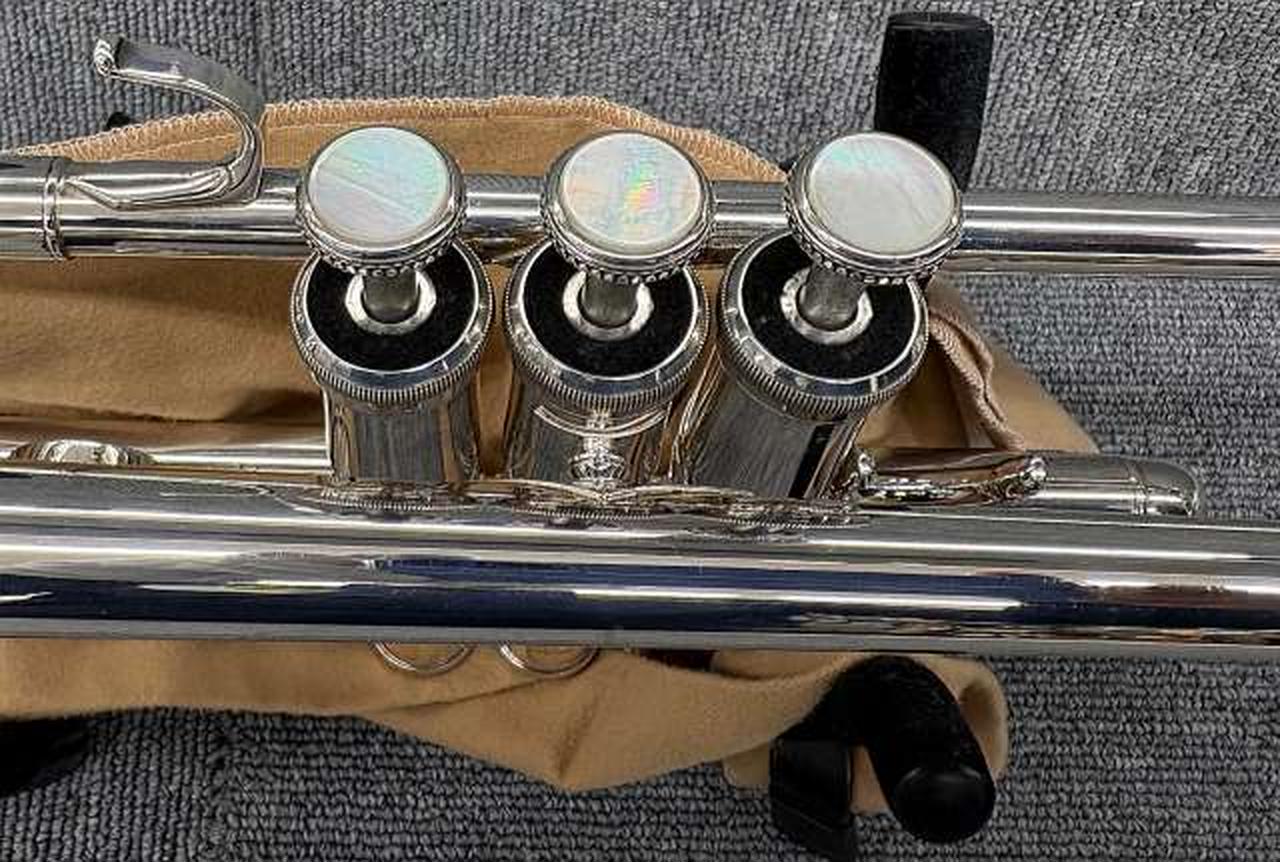 ジャンク品　Buescher フルート本体 ケース付き ジャンク品 Buescher フルート本体 ケース付き