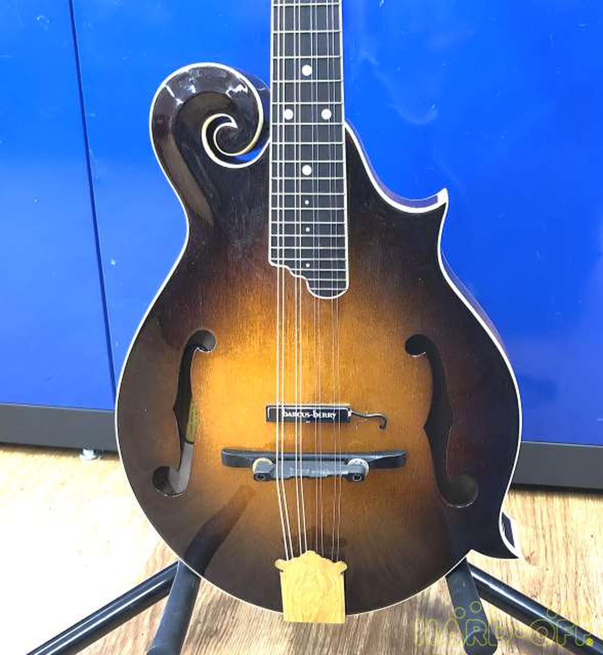 ☆The Kasuga フラット・マンドリン☆