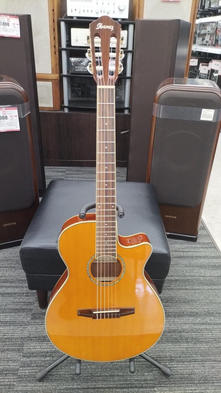 ハードケース付 Ibanez アイバニーズ AEG10NII-TNG エレガット ハードケース付 Ibanez アイバニーズ AEG10NII-TNG エレガット