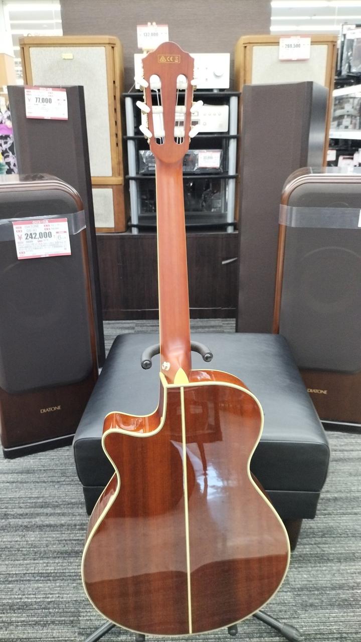 IBANEZ アイバニーズ エレキガットギター(エレガット) AEG10NII-TNG