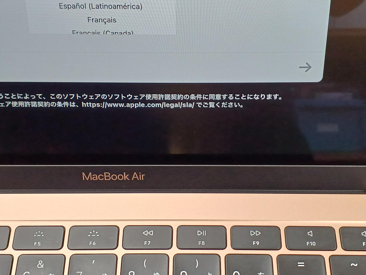 ※液晶画面下部に劣化箇所あり