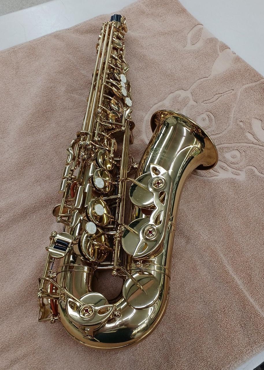 SELVA アルトサックス 美品 ジャンク品 楽天市場】SELVA (セルバ) 初心者向けアルトサックス入門セット