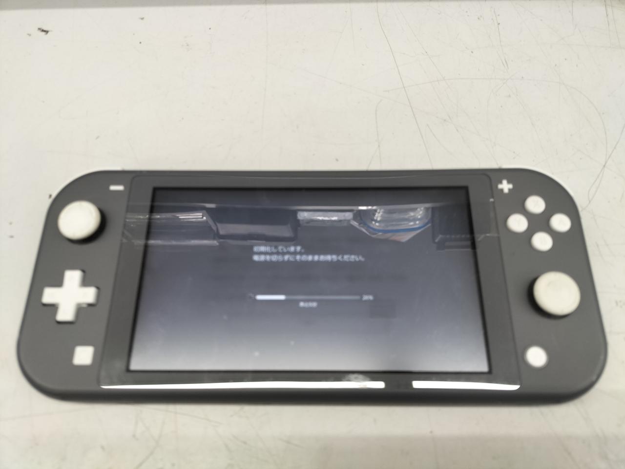 SWITCH LITE
