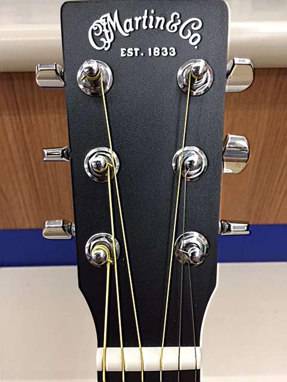 Martin エレアコ アコースティック・エレアコギター MARTIN Signature Models