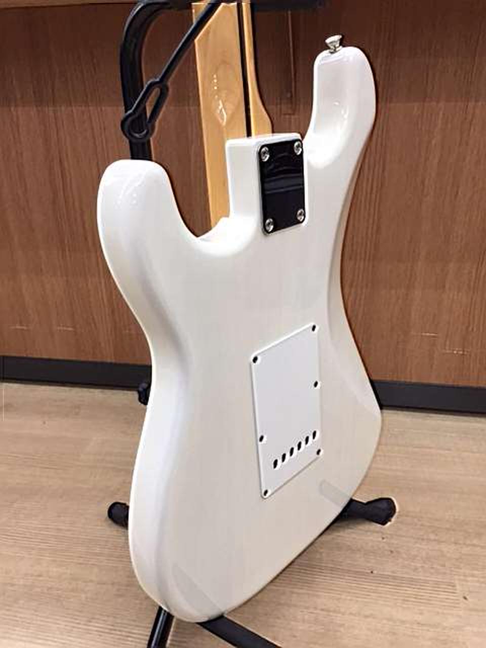 Fender homage ストラトキャスタータイプ Fender（フェンダー）から東京スカパラダイスオーケストラの