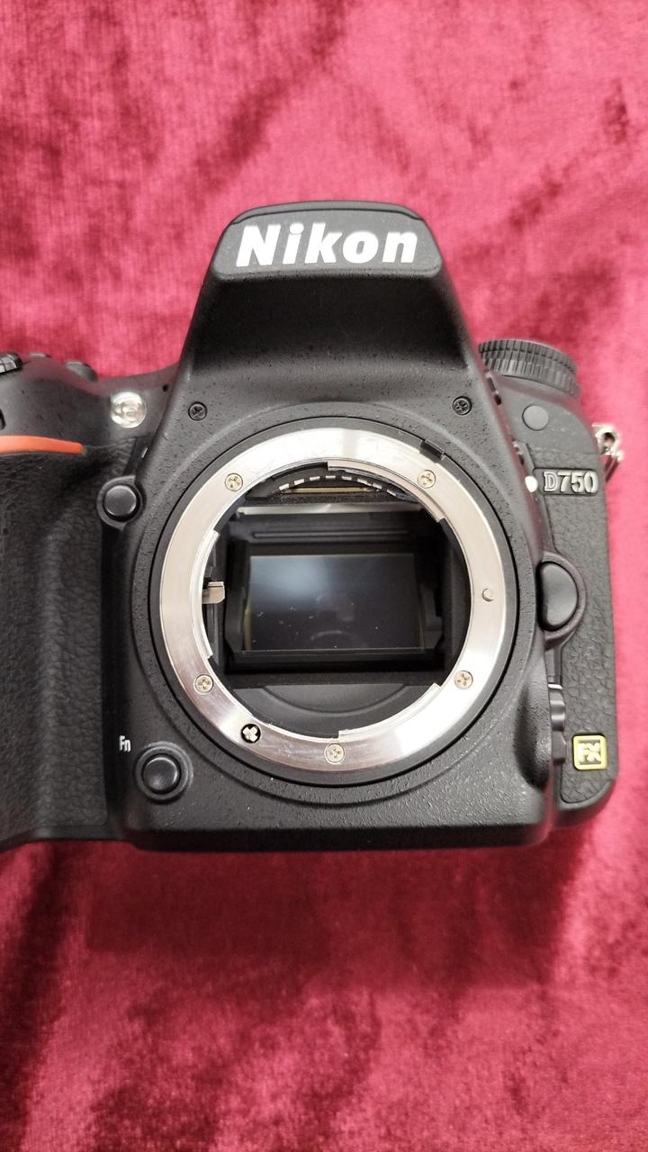 NIKON|デジタル一眼レフ|HARDOFFオフモール（オフモ