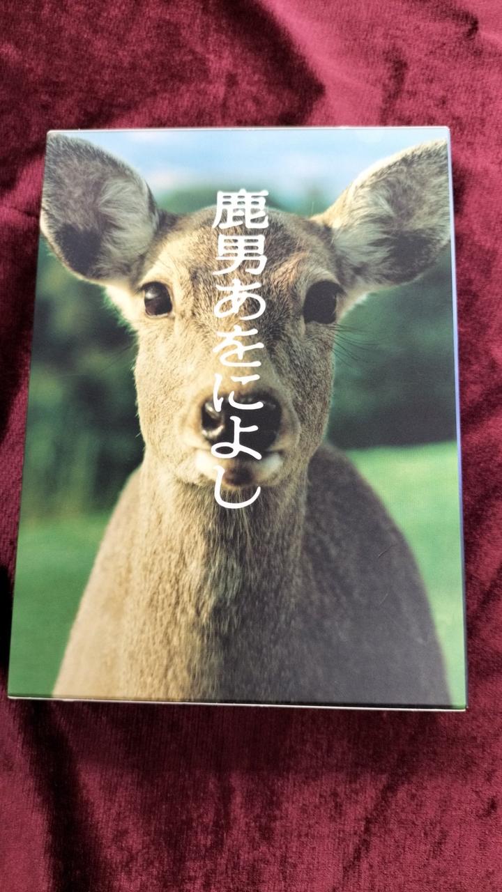 中古】鹿男あをによし DVD-BOX ディレクターズカット完全版 鹿男あ