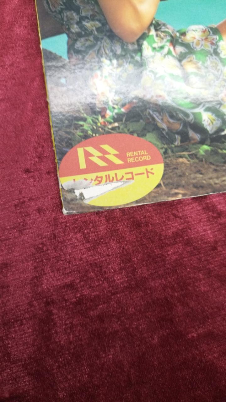 レンタルシール貼ってあります