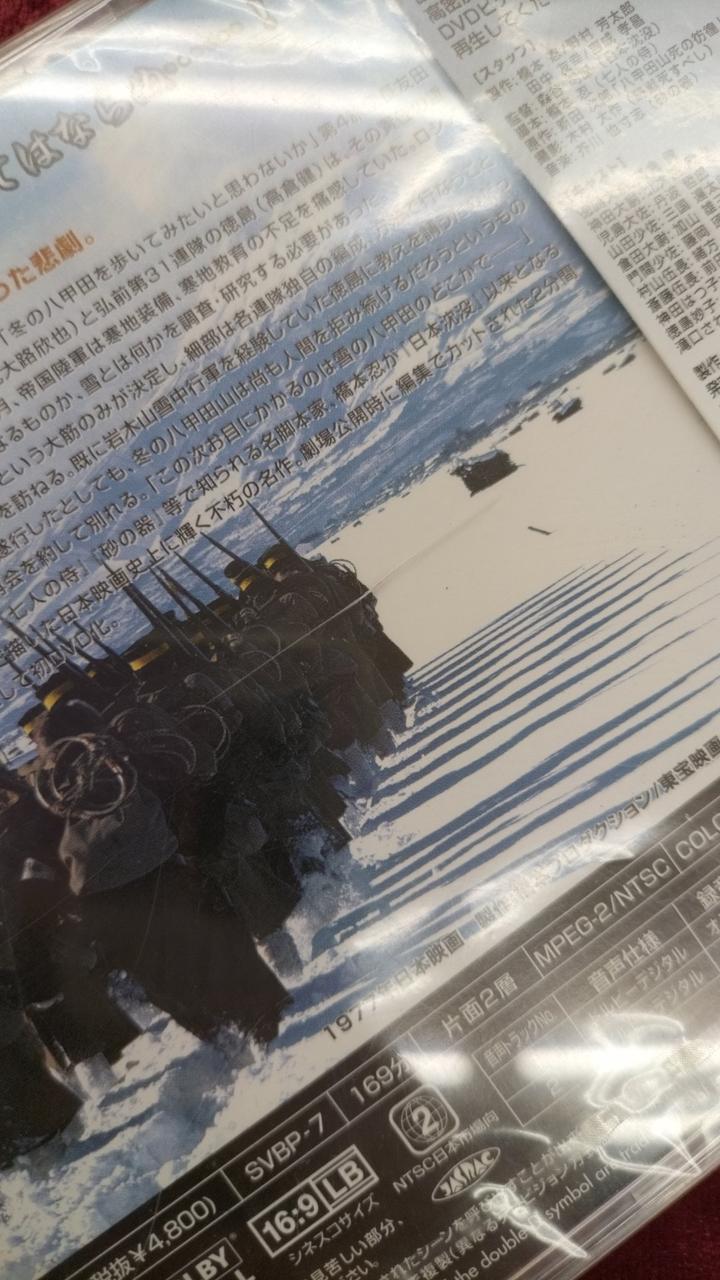裏にケースの割れあり