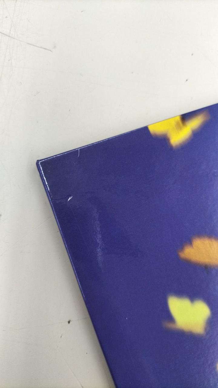 凹みのようなキズあり