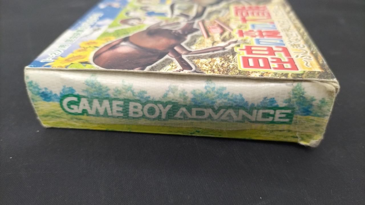 カルチャーブレーン|昆虫の森の大冒険～ふしぎな世界の住民たち