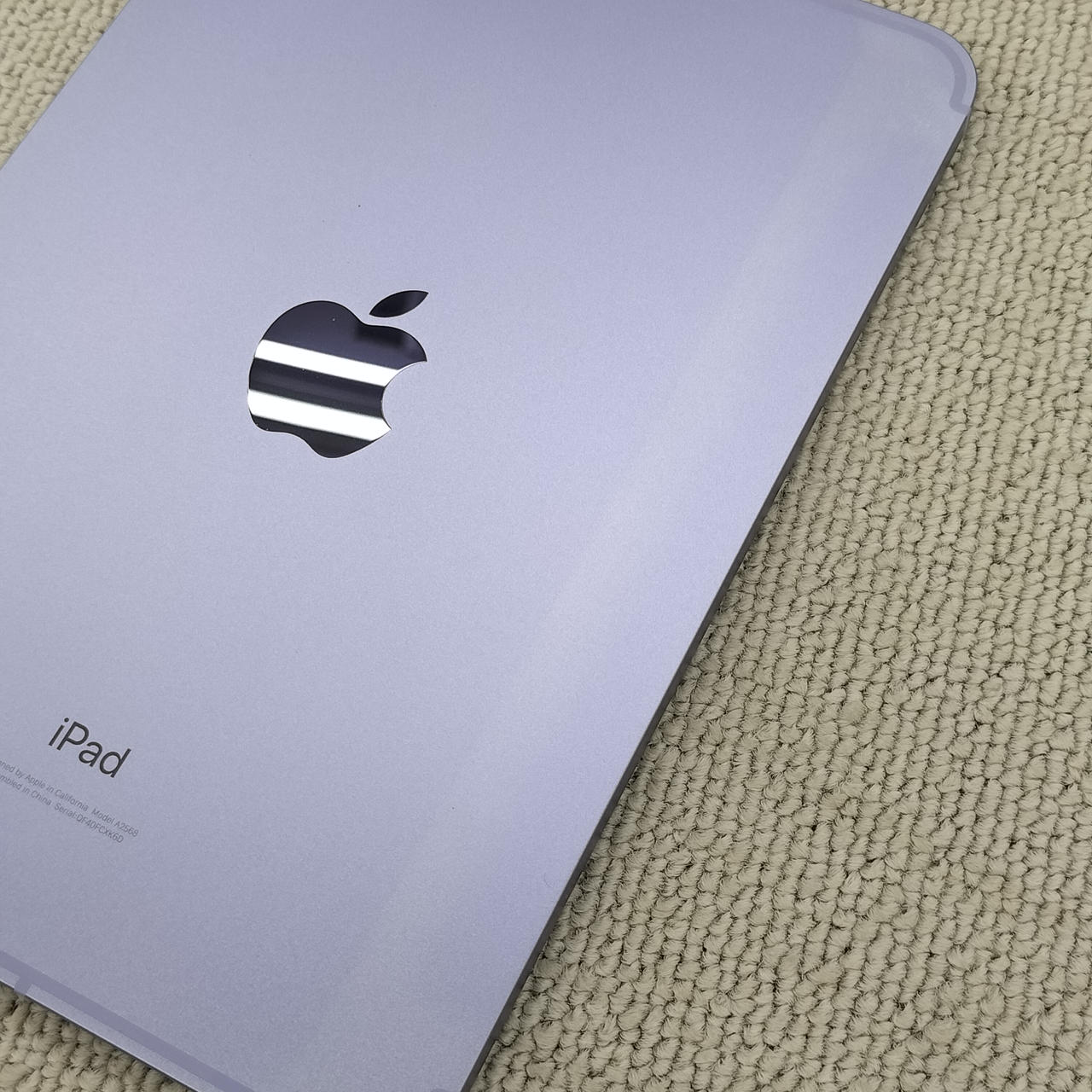 日焼け痕あり。