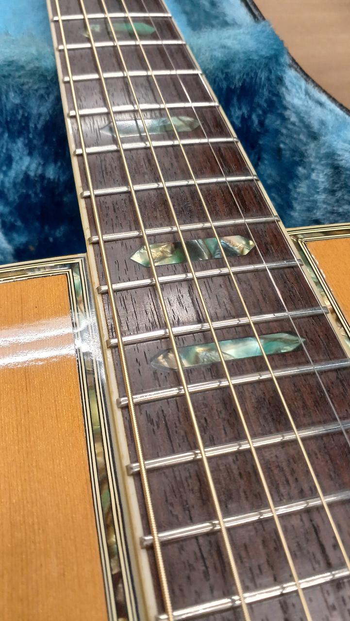 モーリス(MORRIS)|アコースティックギター|HARDOFFオフモール