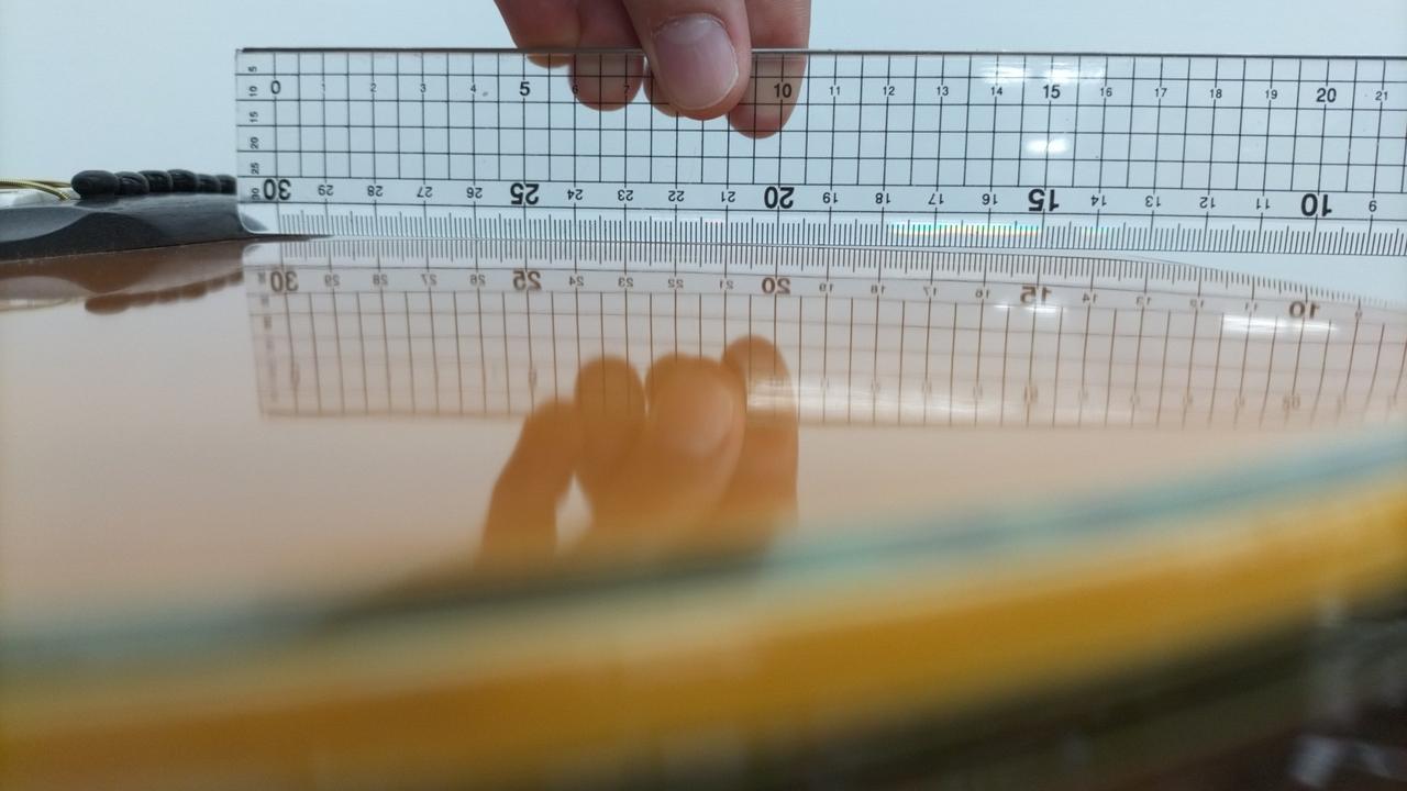 ボディ下部に膨らみあります