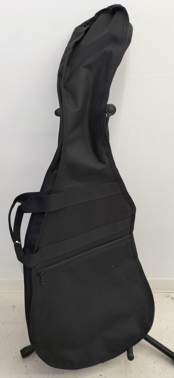THE NORTH FACE BC Guiter Case ギター ケース（BURNNY|エレキ