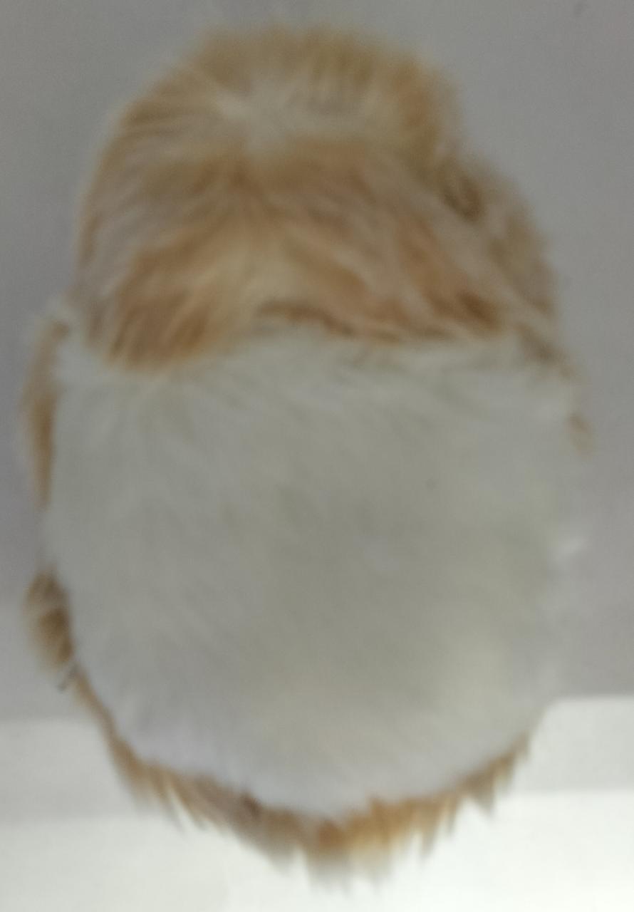 モフリンお腹