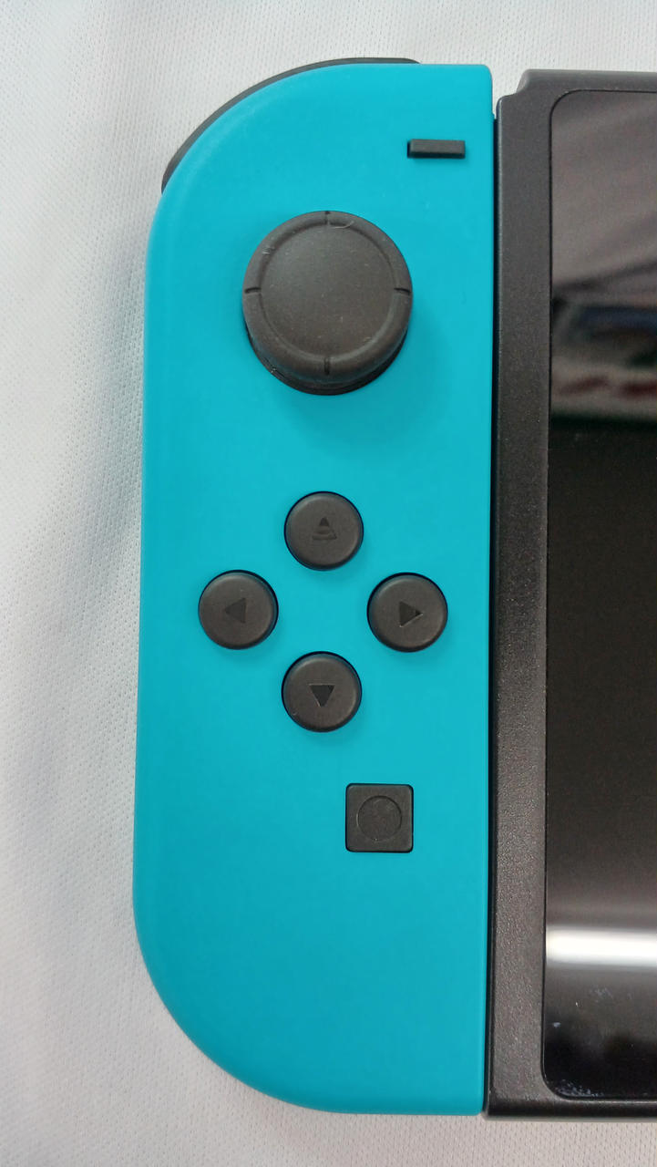 任天堂 - マイコ 商品名なし My Nintendo Store（マイニンテンドーストア）