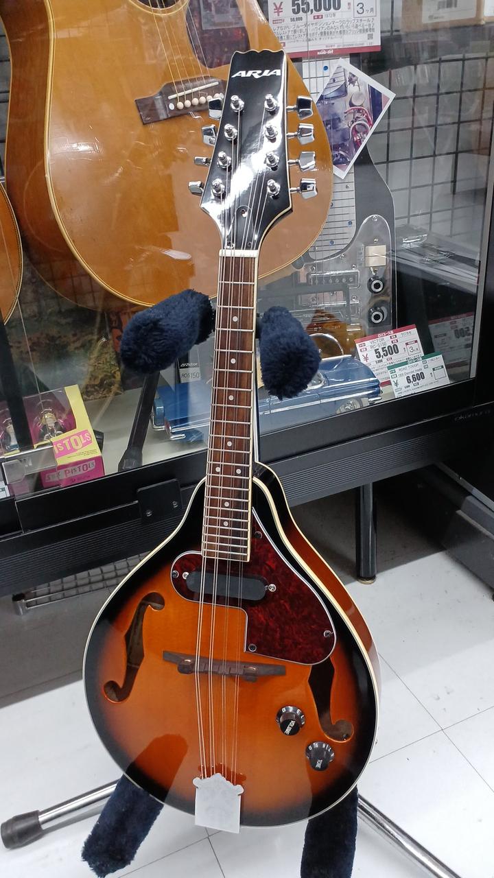 ARIA AM-20E フラットマンドリン ジャンク ARIA AM-20E エレクトリックフラットマンドリン(アリア