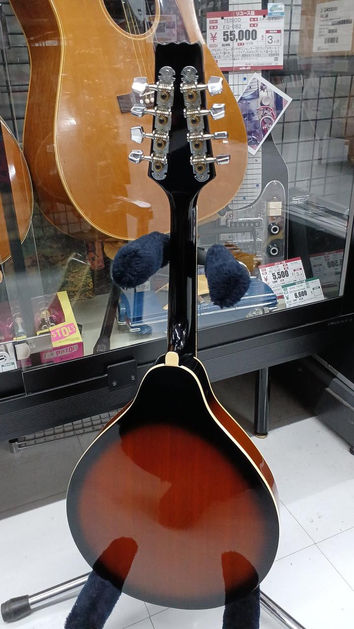 ARIA AM-20E フラットマンドリン ジャンク 調整済 Aria アリア AM-20E AM20E PU搭載 フラットマンドリン