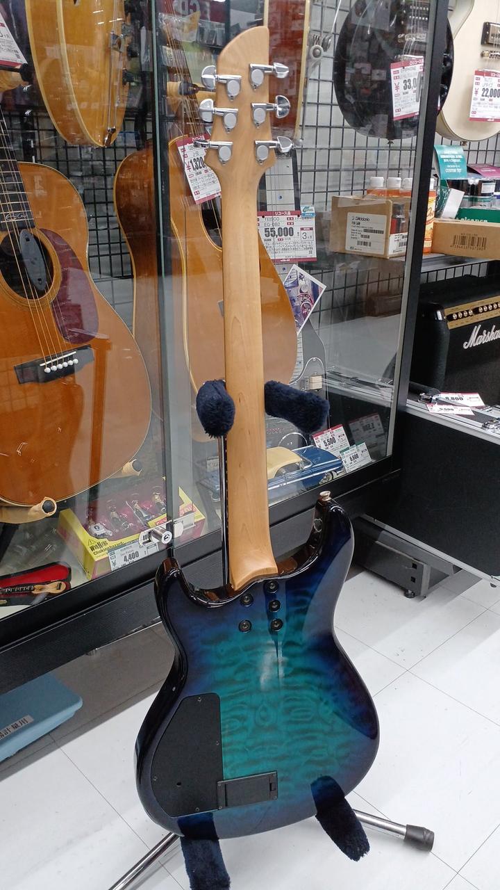 ソフトカバー付きエレキギターFERNANDES ソフトカバー付きエレキギターFERNANDES - メルカリ