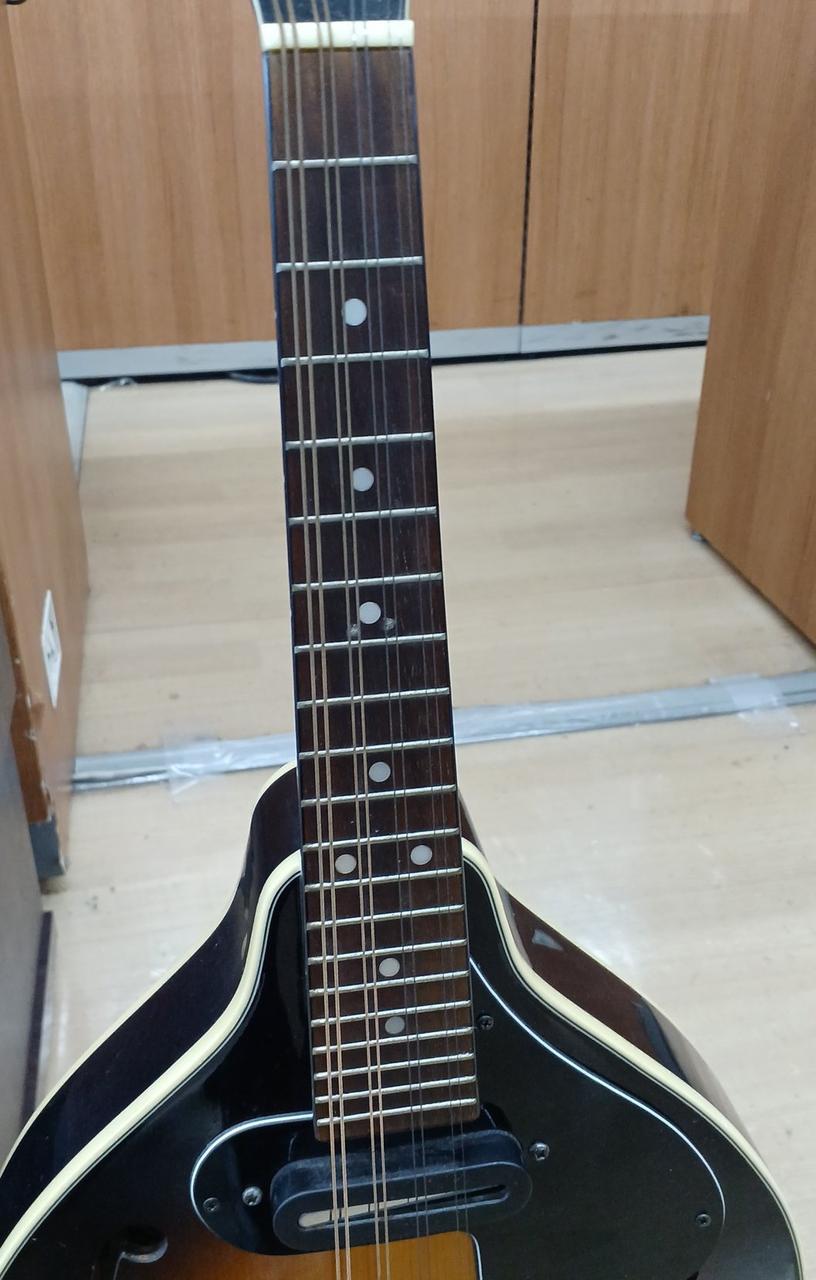 aria エレキマンドリン (Ritter ケース付き) aria エレキマンドリン (Ritter ケース付き) mt0127706_m.jpg