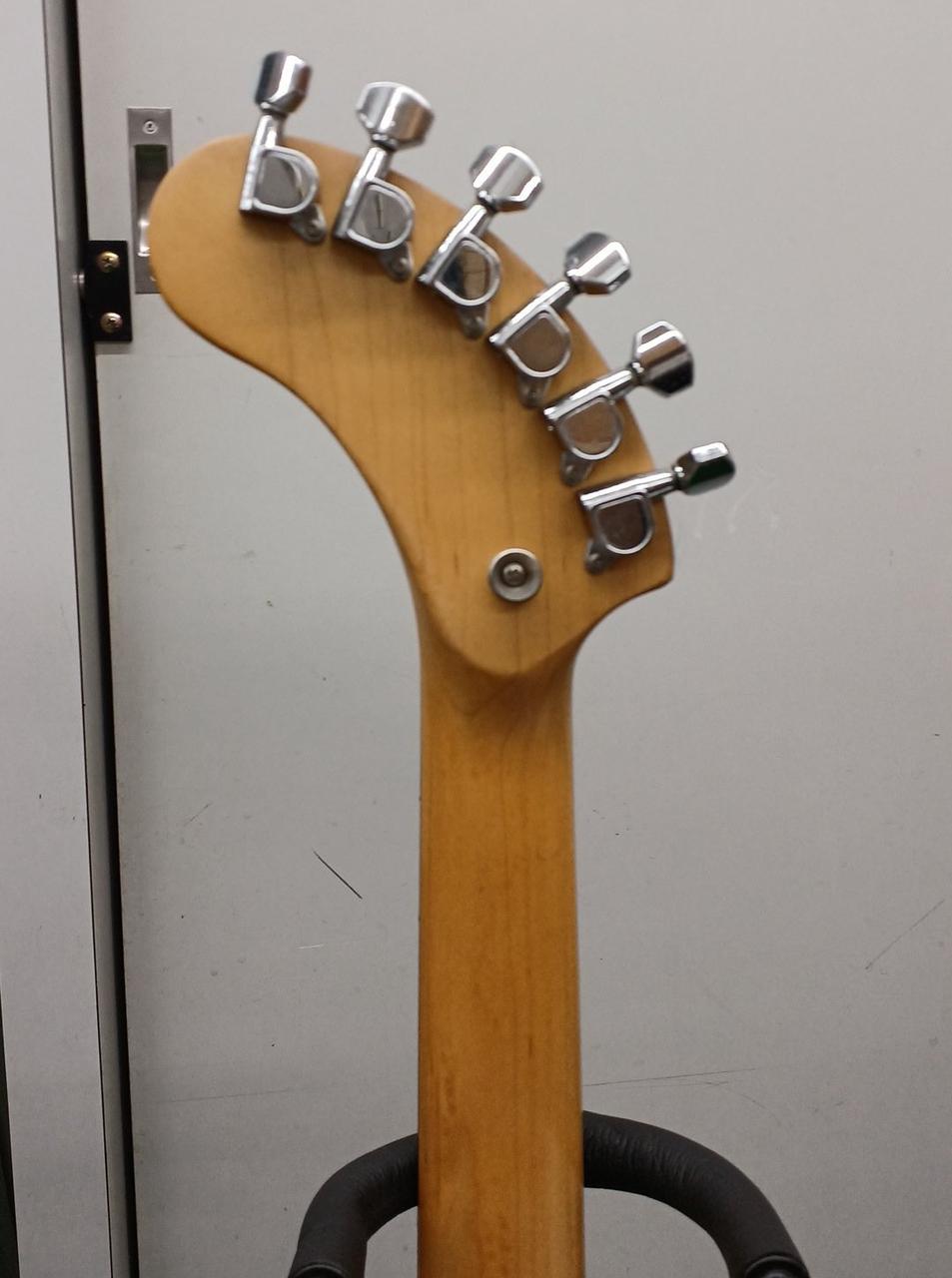 ソフトカバー付きエレキギターFERNANDES FERNANDES 0661690 送料無料 | Sound House