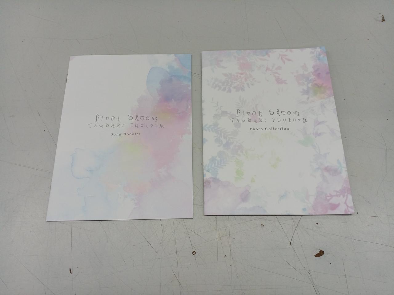 (未使用･未開封品)　First Bloom[Blu-ray] bt0tq1u first bloom 【初回生産限定盤A】(+Blu-ray) : つばき
