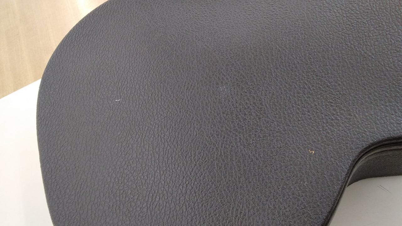 Aria ADF-CST オール単板 Fishman搭載 純正ハードケース付き