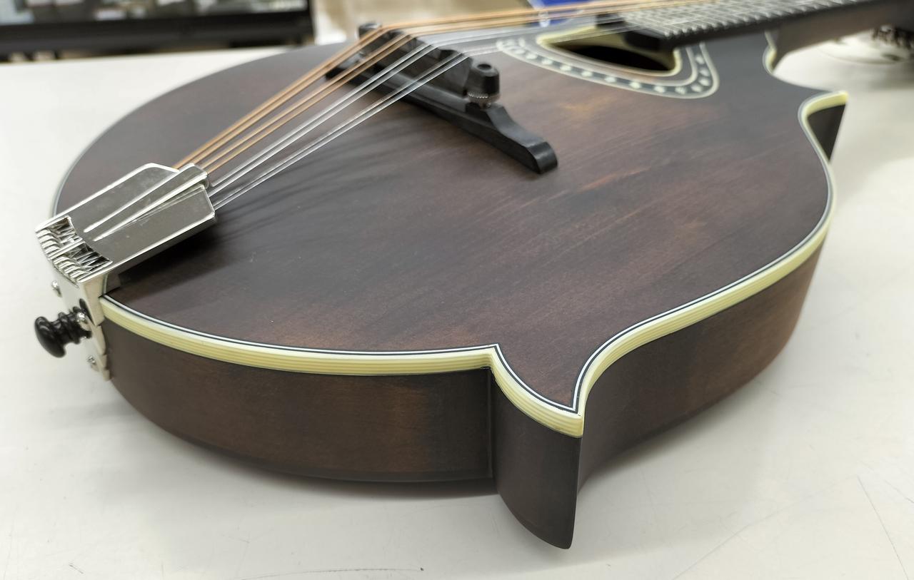 た*ん様 Eastman MD314 イーストマン フラットマンドリン Eastman MD314 Classic | LAST GUITAR OFFICIAL WEBSITE