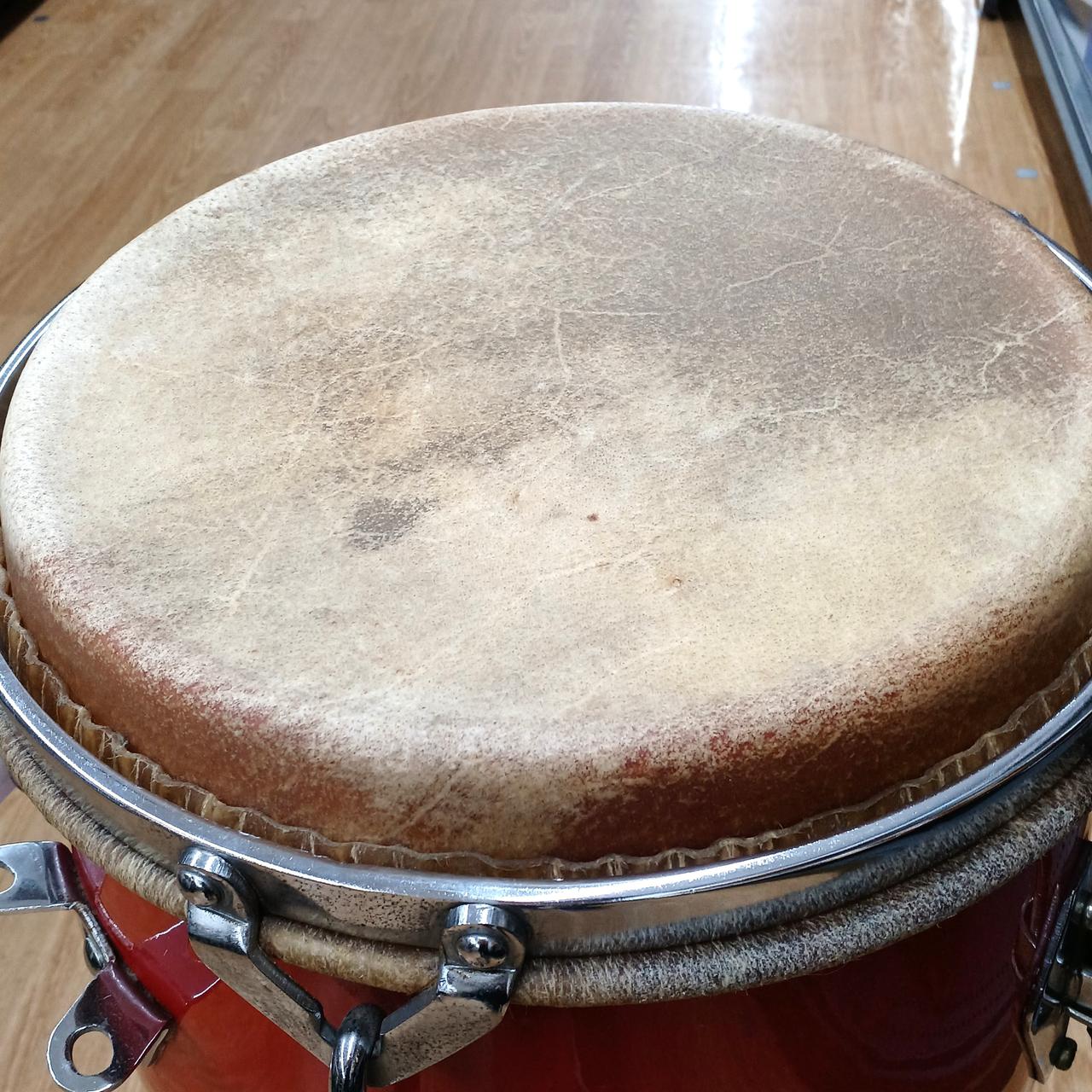 パール pearl コンガ PROFESSIONAL PERCUSSION パール(PEARL)|コンガ|HARDOFFオフモール（オフモ