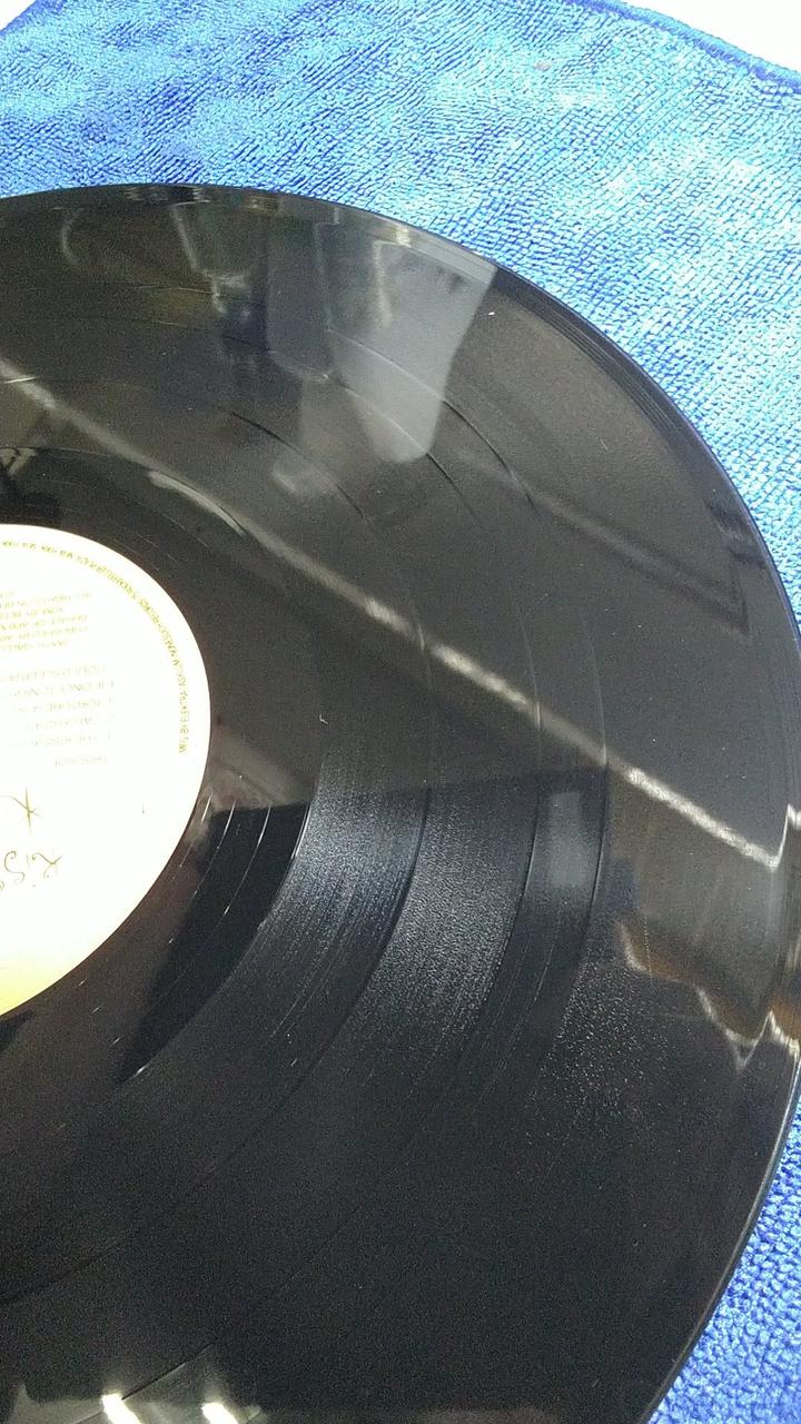 5cm 〜7cm ほどの長さの傷が多数