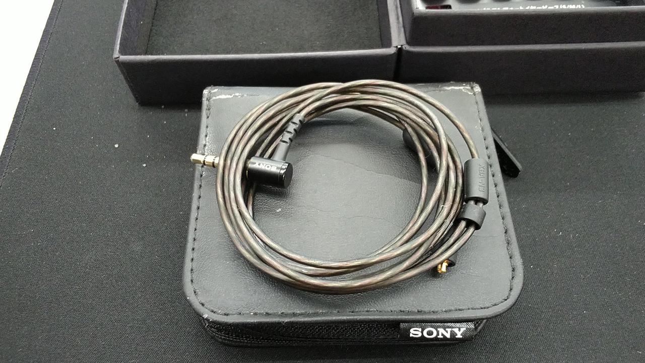 イヤホン NW-S703F SONY NW-S703F ゴールド 純正充電＆同期コート SONYイヤホン