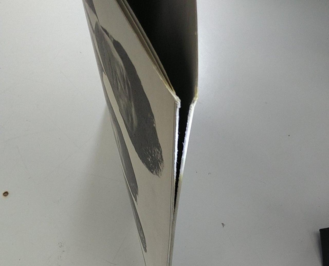 ジャケット破れ有り