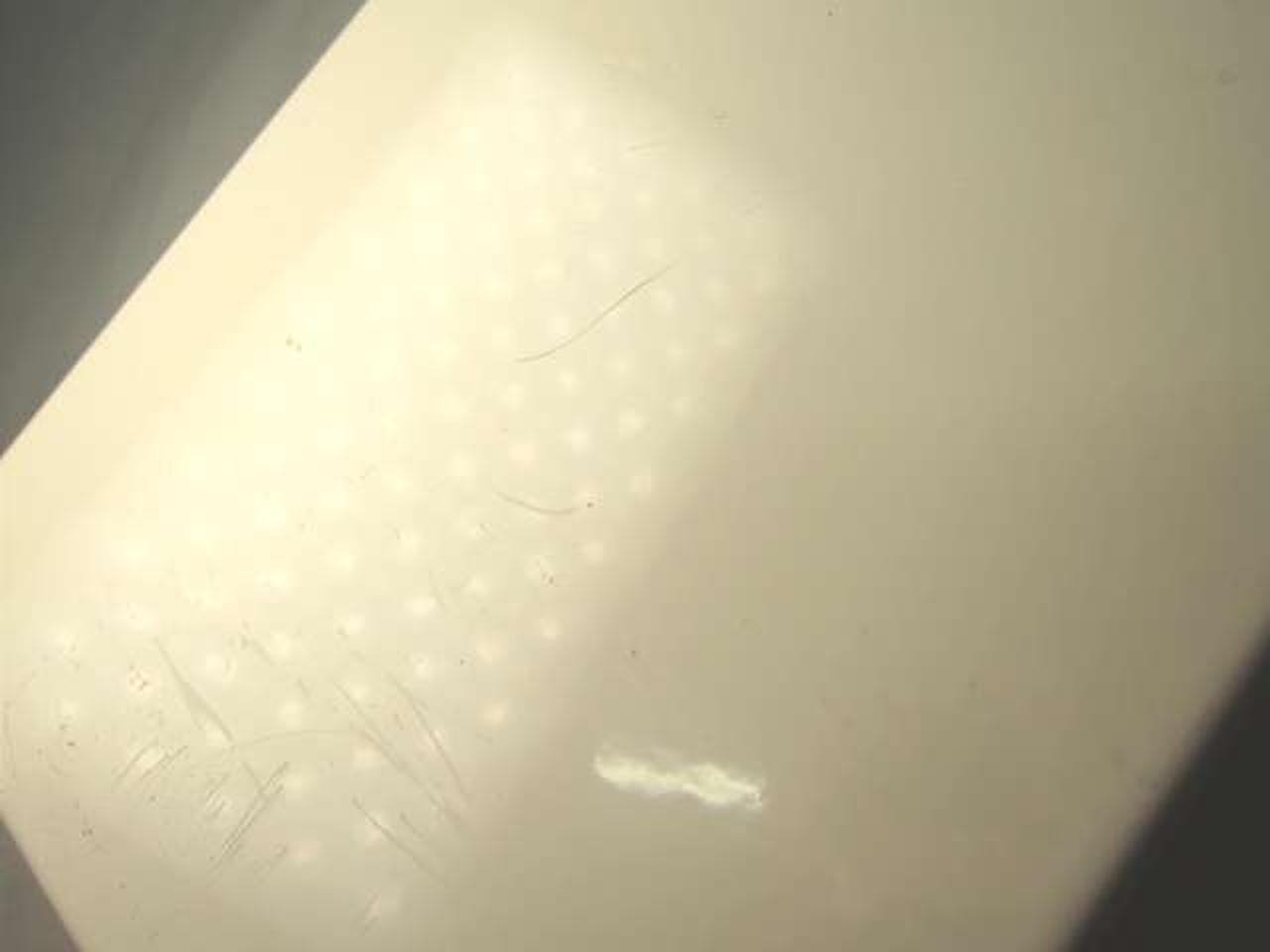 底面擦り傷等あり