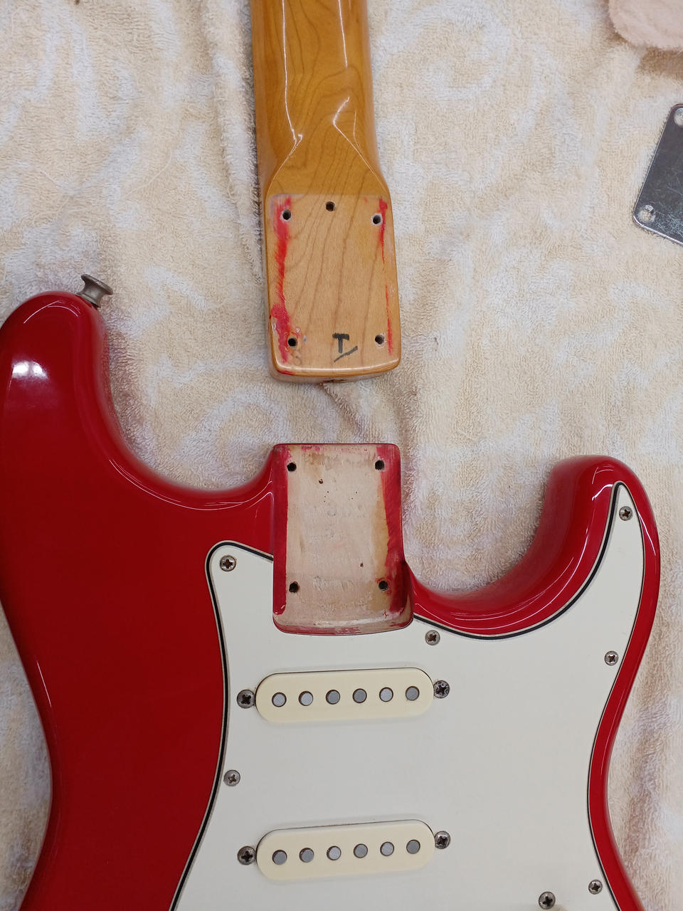 スクワイア(SQUIER)|エレキギター|HARDOFFオフモール（オフモ