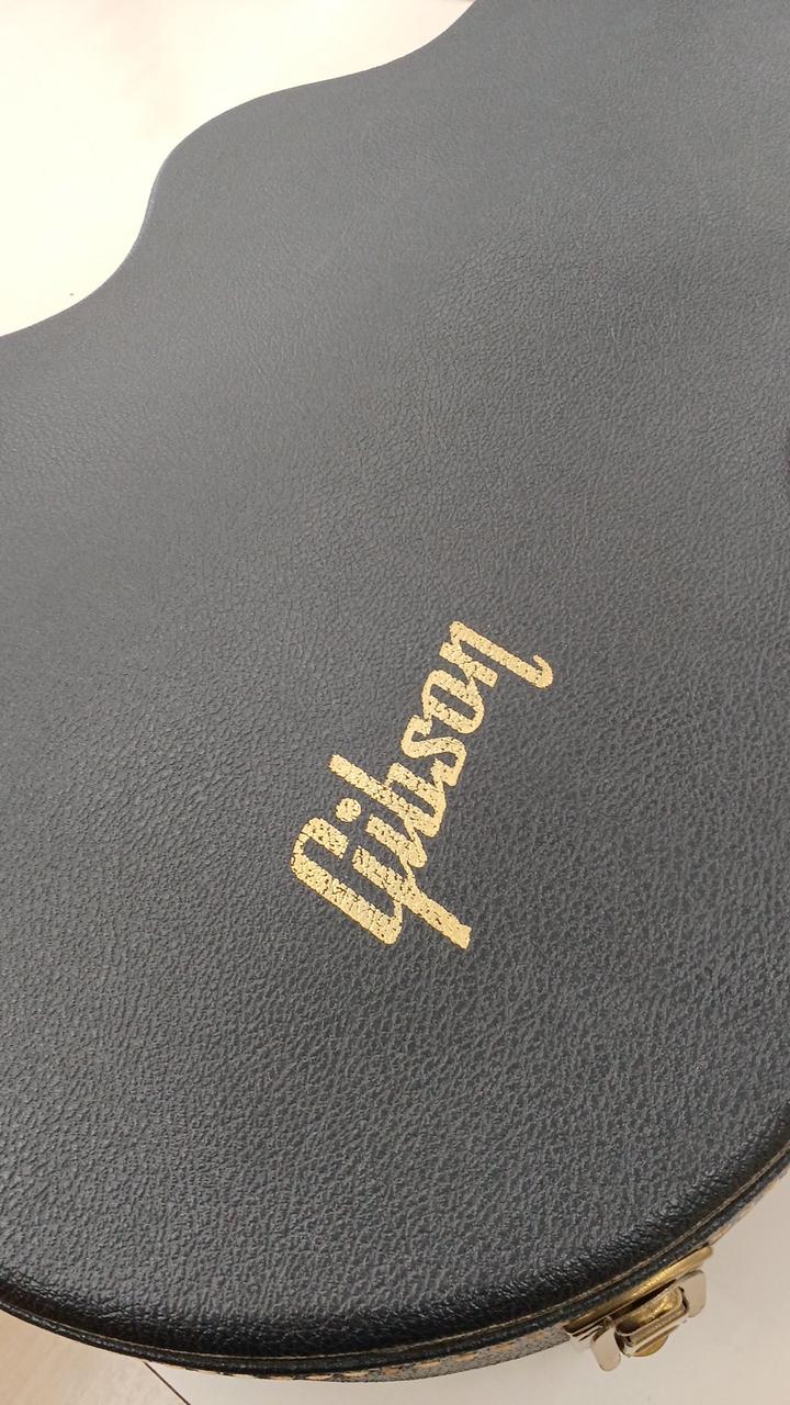 ギブソン　ハードウェアー Gibson ギブソン ASLFTCASE-5L-LPS Lifton Historic ”5-Latch” Brown