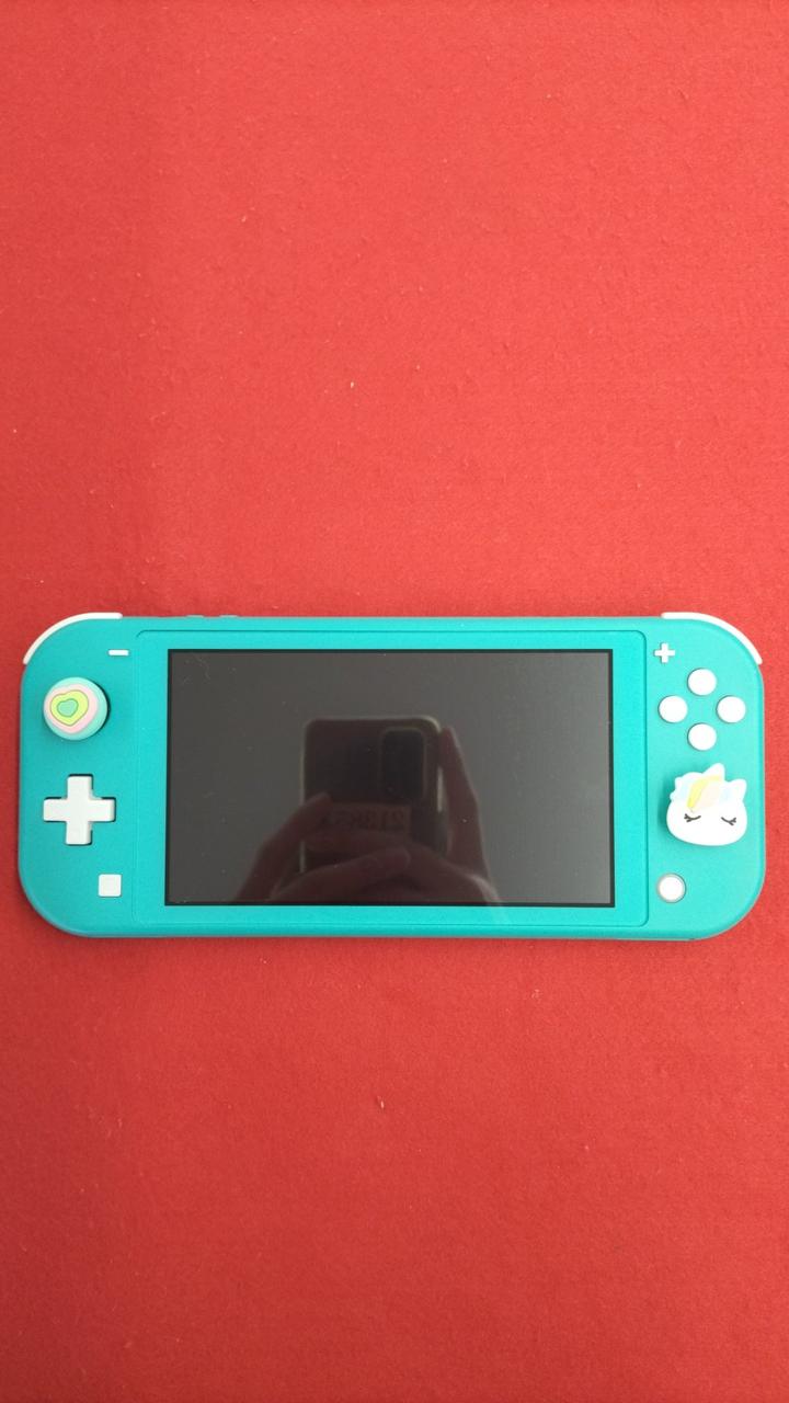 SWITCH LITE