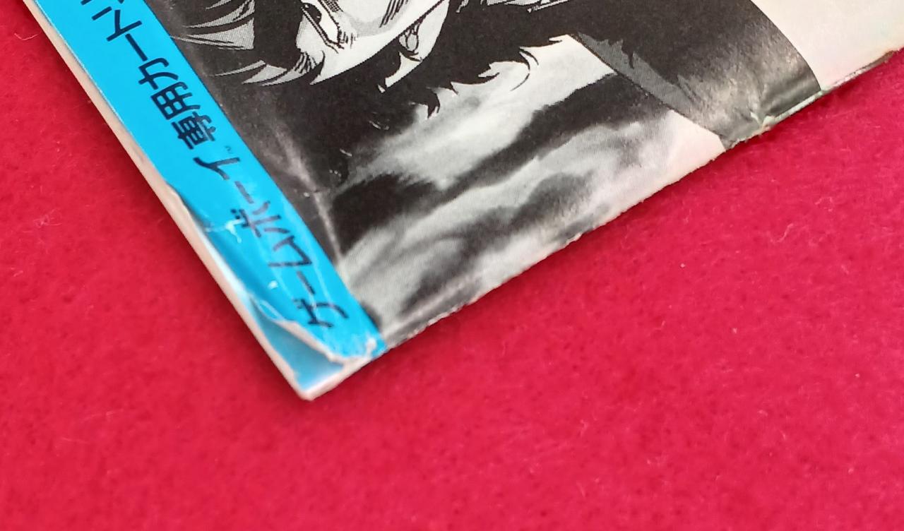 破れあります。